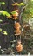 Des polyphores à l'assaut de l'arbre