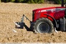 Des hérons précèdent un tracteur